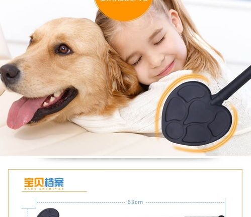 狗狗玩具盘点,宠物必备清单!