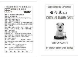 宠物拉肚子怎么办？药物治疗与预防措施。