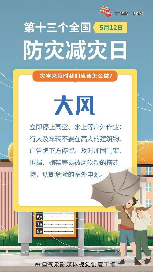 宠物肚子鼓胀，主人速学应对！