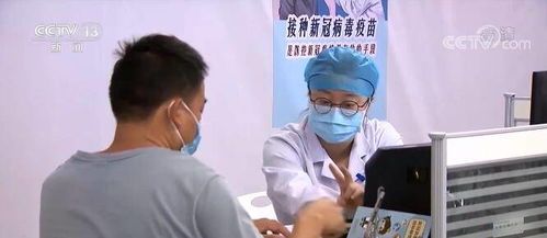宠物肚子鼓胀，主人速学应对！