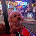 https://p1.meituan.net/userheadpicbackend/86b3b578cf64c9d8e5910cd9080f9545669923.jpg%40120w_120h_1e_1c_1l%7Cwatermark%3D0