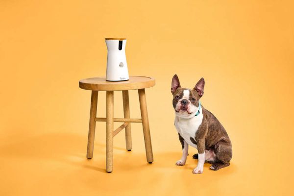 ​Amazon Pet Day Will Offer Deals on Products from Blue Buffalo, Jinx Pet Food, Genius Litter and More Pet Brands
