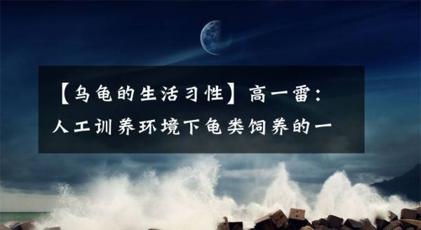 【乌龟的生活习性】高一雷：人工训养环境下龟类饲养的一点探索文章配图