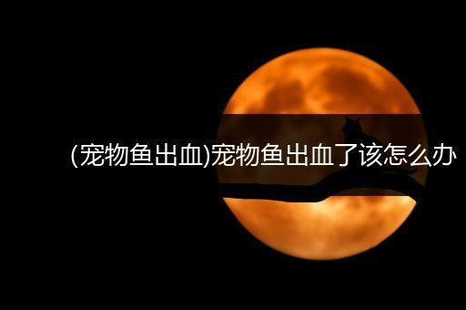 （宠物鱼出血)宠物鱼出血了该怎么办