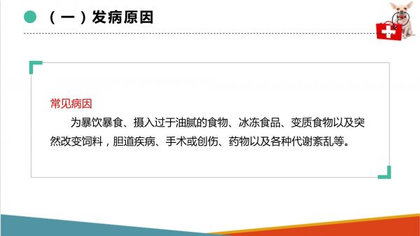 犬猫消化系统疾病 急性胰腺炎（宠物疾病防治课件）_第4页