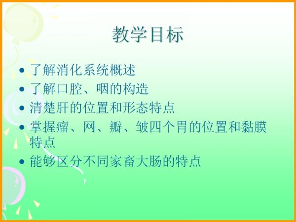 犬消化系统课件.ppt_第4页