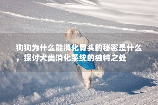狗狗为什么能消化骨头的秘密是什么，探讨犬类消化系统的独特之处
