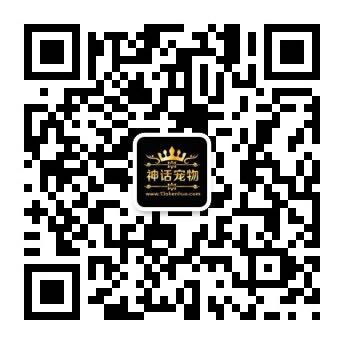 微信图片_20200117020205.jpg