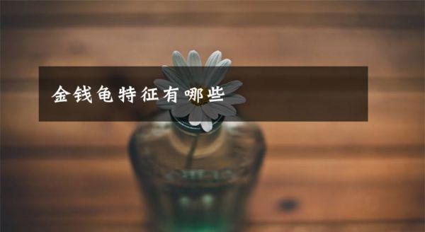 金钱龟特征有哪些