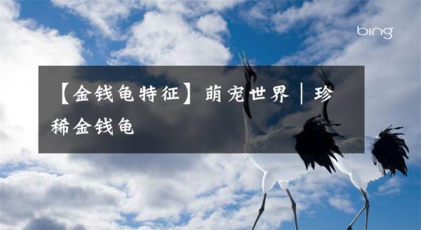 【金钱龟特征】萌宠世界｜珍稀金钱龟文章配图