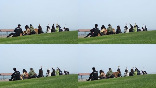 带狗出行 带狗旅游 宠物狗 狗 犬 旅行