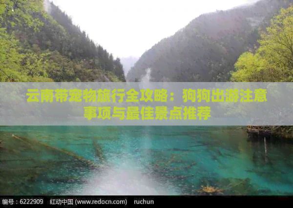 云南带宠物旅行全攻略：狗狗出游注意事项与更佳景点推荐