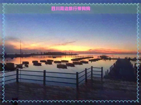 四川周边旅行带狗狗