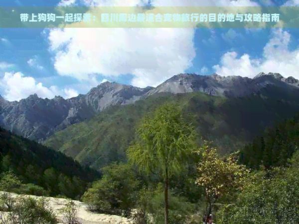 带上狗狗一起探索:四川周边最适合宠物旅行的目的地与攻略指南
