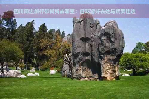 四川周边旅行带狗狗去哪里:自驾游好去处与玩耍佳选