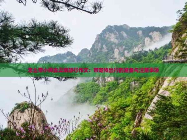怎么带小狗去云南旅行作文：带宠物出行的准备与注意事项