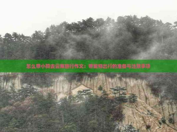 怎么带小狗去云南旅行作文：带宠物出行的准备与注意事项