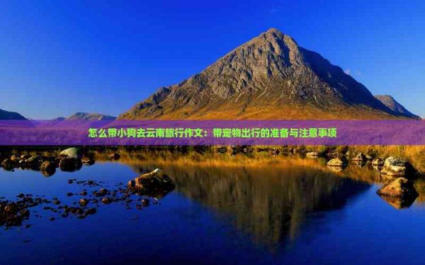 怎么带小狗去云南旅行作文：带宠物出行的准备与注意事项