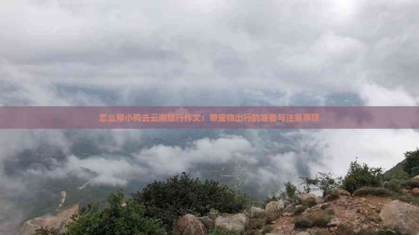 怎么带小狗去云南旅行作文：带宠物出行的准备与注意事项