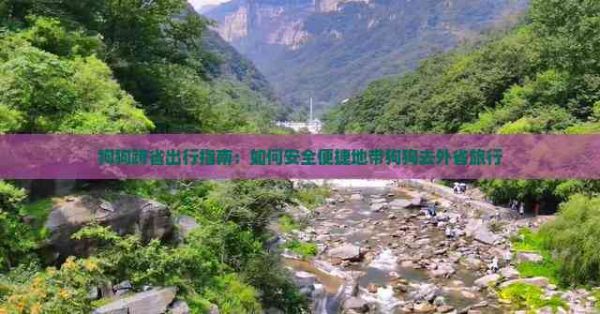 狗狗跨省出行指南：如何安全便捷地带狗狗去外省旅行