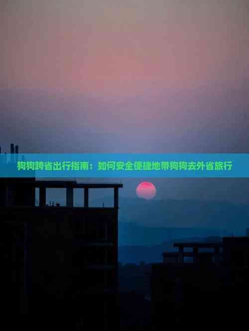 狗狗跨省出行指南：如何安全便捷地带狗狗去外省旅行