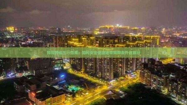 狗狗跨省出行指南：如何安全便捷地带狗狗去外省旅行