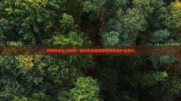 狗狗跨省出行指南：如何安全便捷地带狗狗去外省旅行