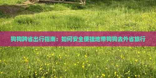 狗狗跨省出行指南：如何安全便捷地带狗狗去外省旅行