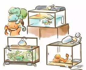 鱼缸养殖新手指南:宠物养护必知要点