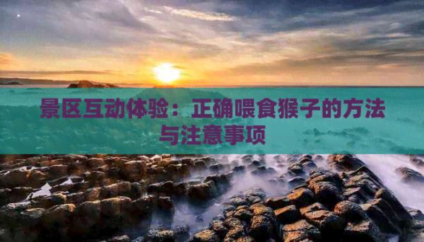 景区互动体验：正确喂食猴子的方法与注意事项
