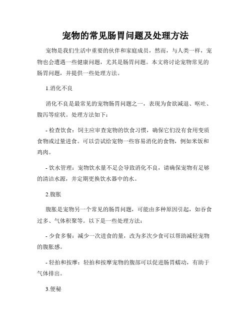 宠物的常见肠胃问题及处理方法
