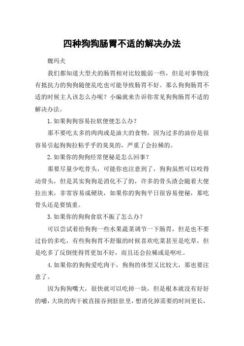 四种狗狗肠胃不适的解决办法