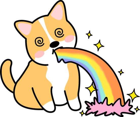 狗狗肠胃炎自救方法