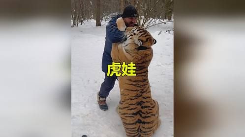 大叔无意间捡到一只小老虎，将它养大后，老虎居然懂得报恩