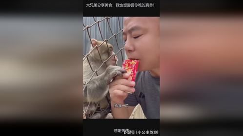 大兄弟分享美食，我也想尝尝你吃的真香！