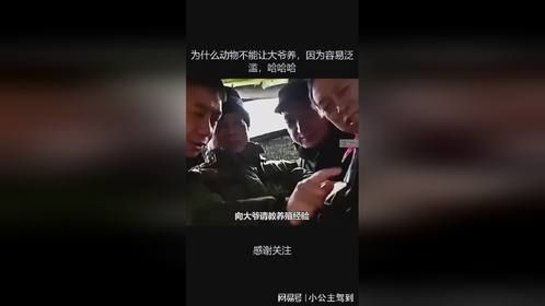 为什么动物不能让大爷养，因为容易泛滥，哈哈哈