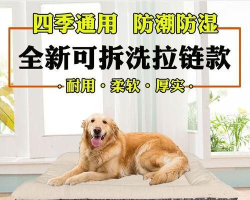 如何防止农村宠物狗狗被偷（15个实用防盗技巧）