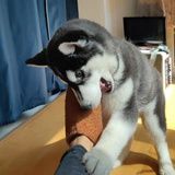 独孤乾坤