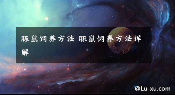 豚鼠饲养方法 豚鼠饲养方法详解文章配图