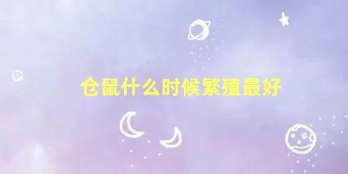 仓鼠什么时候繁殖最好