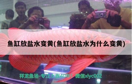 撒旦鸭嘴鱼繁殖酸碱度调节（关于撒旦鸭嘴鱼繁殖过程中酸碱度的调节）
