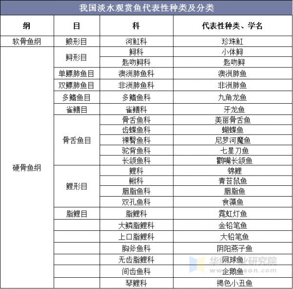 我国淡水观赏鱼代表性种类及分类