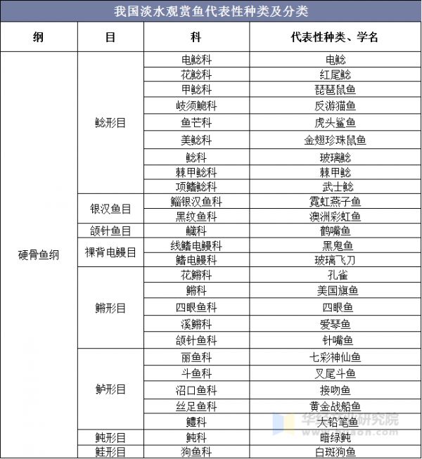 我国淡水观赏鱼代表性种类及分类