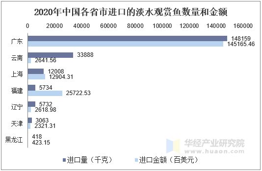 2020年中国各省市进口的淡水观赏鱼数量和金额