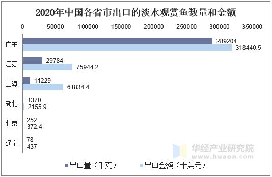 2020年中国各省市出口的淡水观赏鱼数量和金额