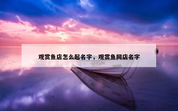 观赏鱼店怎么起名字，观赏鱼网店名字