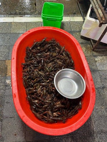 蜀地的麻辣和小龙虾简直绝配啊