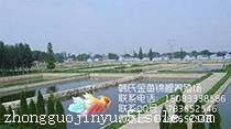 金鱼，锦鲤，金鱼批发，金鱼价格多少钱