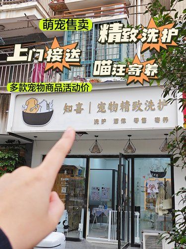 福州｜宠物精致洗护小店报告