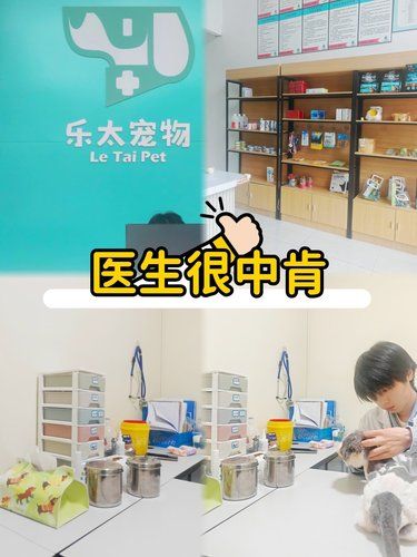 这家宠物医院，医生很中肯[强]